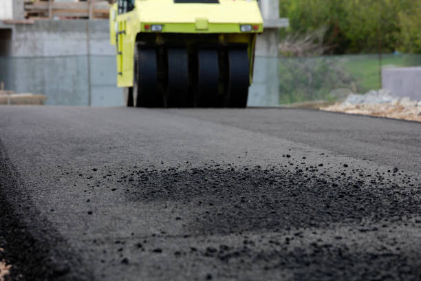 Best Local Driveway Pavers  in Cienegas Terrace, TX