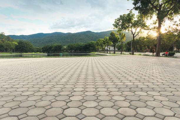 Professional Driveway Pavers in Cienegas Terrace, TX