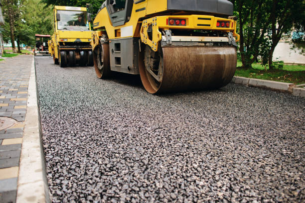 Best Residential Paver Driveway  in Cienegas Terrace, TX